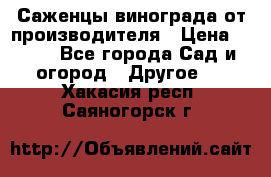 Саженцы винограда от производителя › Цена ­ 800 - Все города Сад и огород » Другое   . Хакасия респ.,Саяногорск г.